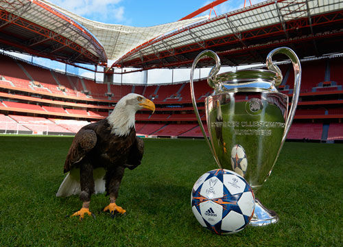 综合体育热门话题讨论 赛场内外焦点事件